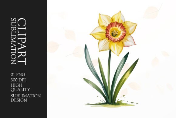 Download Single Daffodil Clipart PNG - Premium Bundle