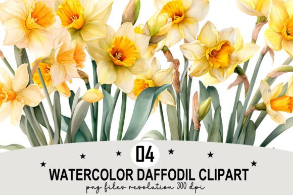 Download Watercolor Daffodil Clipart - Premium Resources