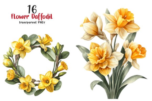 Download Watercolor Flower Daffodil Clipart - Premium Resources